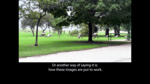 Grassy field near a walking trail with the words "or another way of saying it is how these images are put together"
